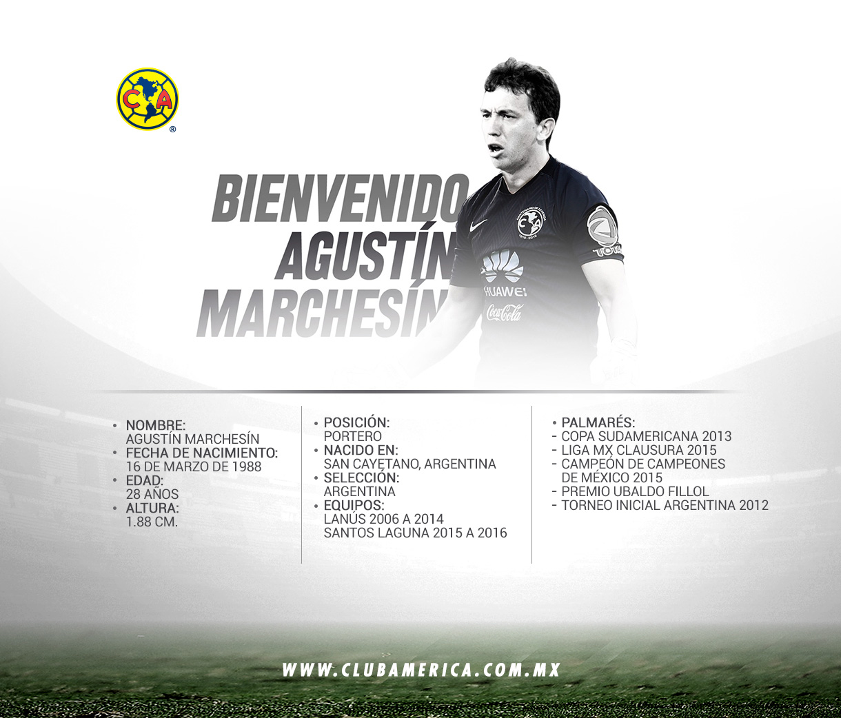 agustinmarchesin_informacion